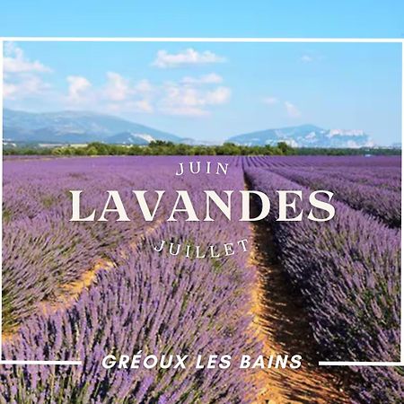 Oasis Tranquille - L'Evasion Au Verdon Greoux-les-Bains Luaran gambar